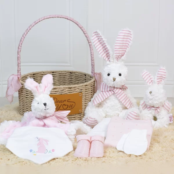 “New-born Essentials” Baby Girl Hamper