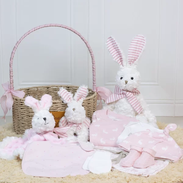 “Welcome to the World” Baby Girl Hamper