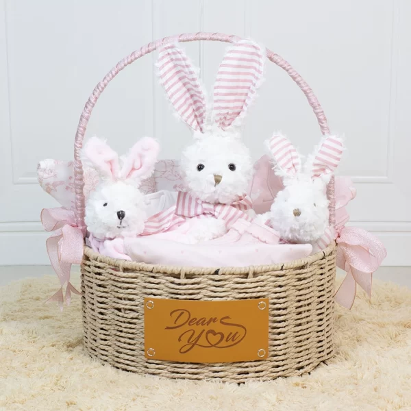 “Welcome to the World” Baby Girl Hamper