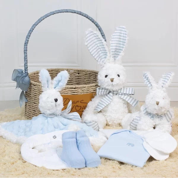 “New-born Essentials” Baby Boy Hamper