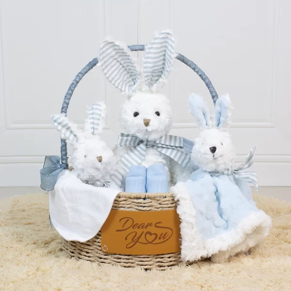 “New-born Essentials” Baby Boy Hamper
