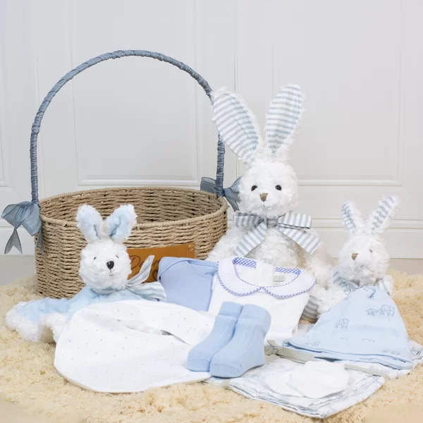 “Welcome to the World” Baby Boy Hamper