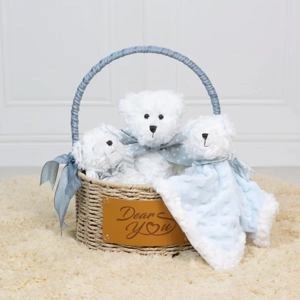 “My First Bear” Baby Boy Hamper