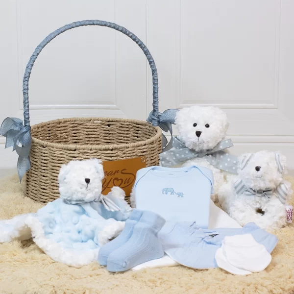 “New-born Essentials” Baby Boy Hamper