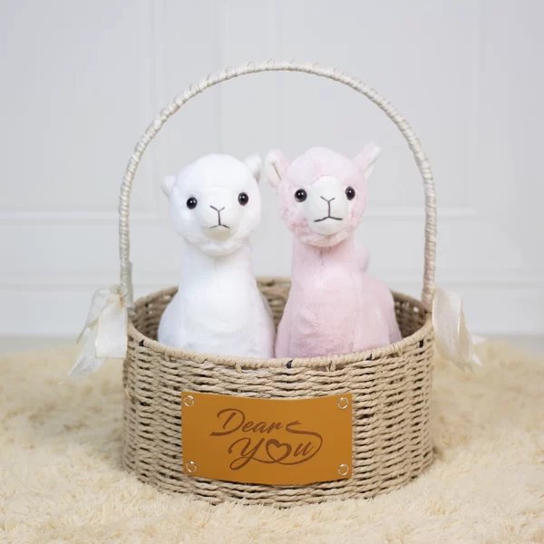 Dear Alpaca Twins Hamper (White & Pink)
