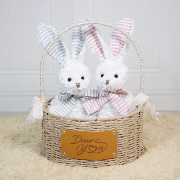 Dear Bunny Twins Hamper (Blue & Pink)