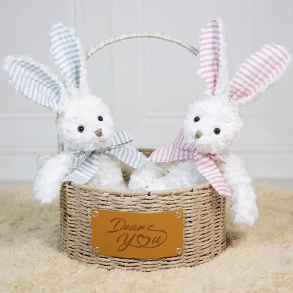 Dear Bunny Twins Hamper (Blue & Pink)