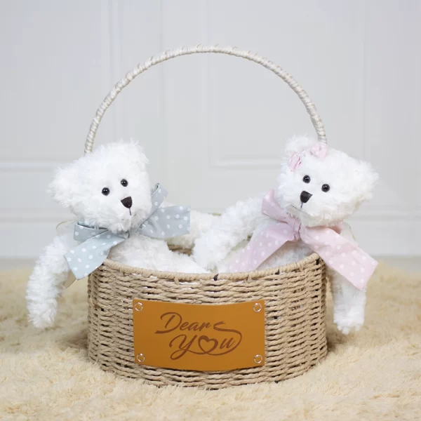 Dear Bear Twins Hamper (Blue & Pink)