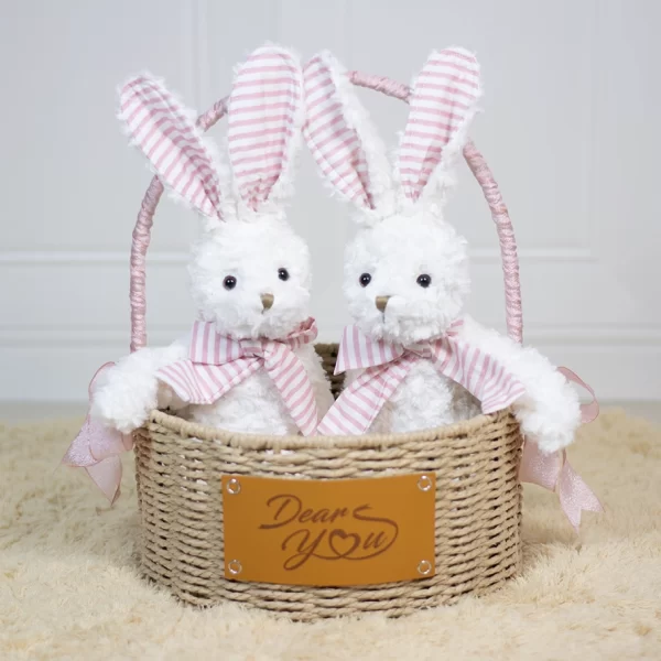 Dear Bunny Twins Hamper (Pink)