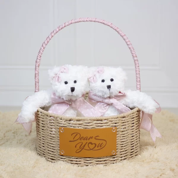 Dear Bear Twins Hamper (Pink)