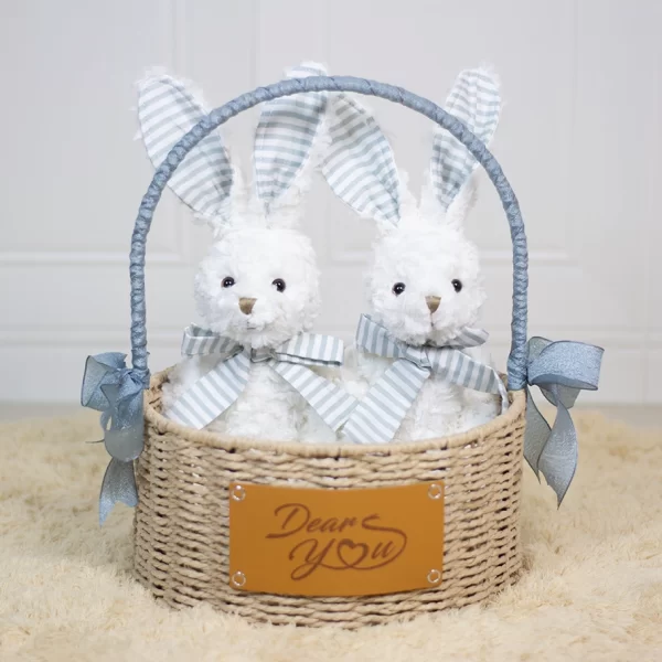 Dear Bunny Twins Hamper (Blue)