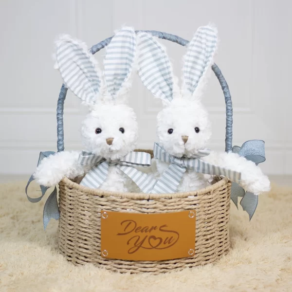 Dear Bunny Twins Hamper (Blue)