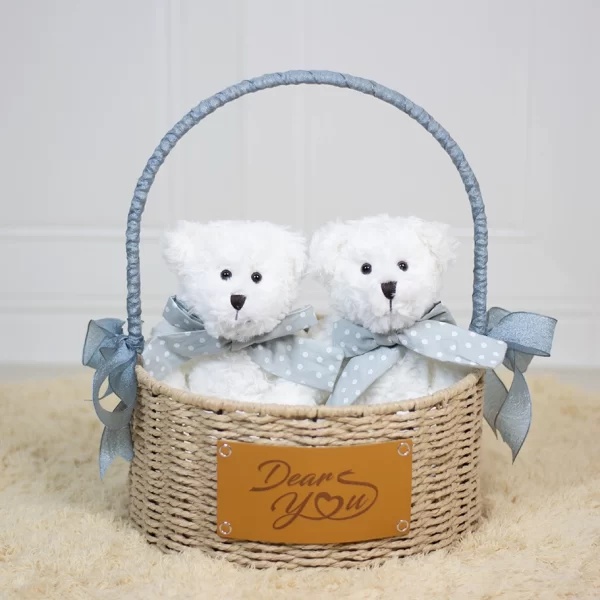 Dear Bear Twins Hamper (Blue)