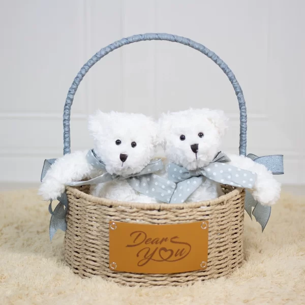 Dear Bear Twins Hamper (Blue)
